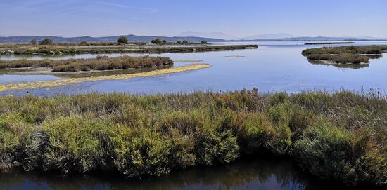 Die Lagune von Karavasta