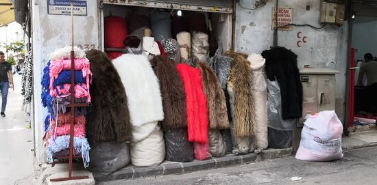 Oder darf es Fell sein?