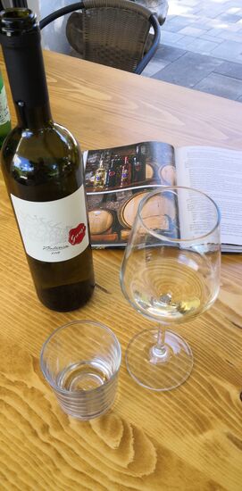 Weinprobe in der Winzerei Grmoja