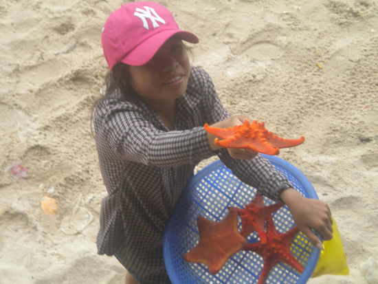 Die Seesterne schwemmte es haufenweise an den Strand