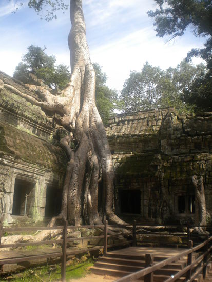 Ta Prohm