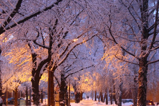 Grefsen(Oslo) im Februar!