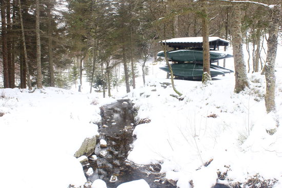 Der Gebirgsbach. Das Wasser war kristallklar!
