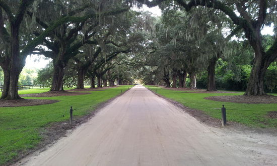 Zur Boone Hall Plantation