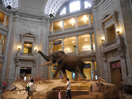 Smithsonian National Museum of Natural History