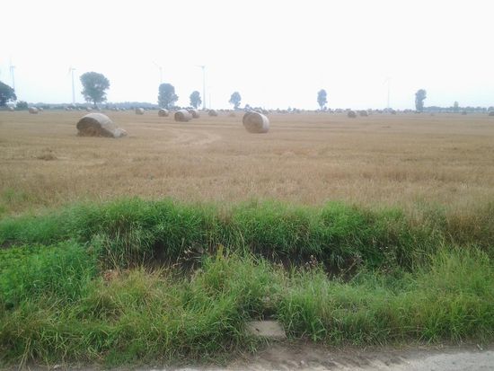 Der "Strohballenwahnsinn". Ein Bild von mir möchte ich Euch ersparen, weil soviel "Fertigkeit" ist kein schöner Anblick!!