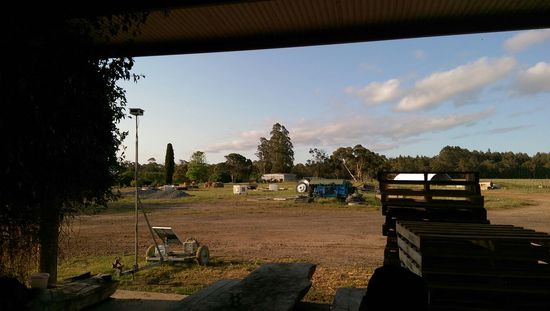 Amuri Creek Strawberry Farm