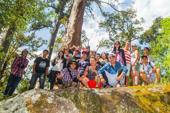 Porongrup Nationalpark