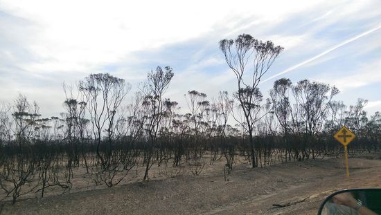 Hier sieht man, dass es kurz vorher gebrannt hat.