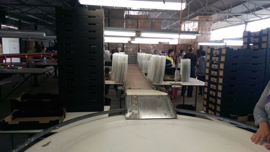 Erdbeerfarm Packingshed
Dennis und mein Arbeitsplatz 