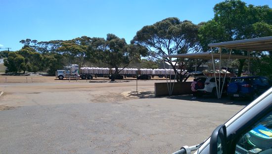 Road Train
Manche können bis zu 35 Meter lang sein und rasen mit 120 km/h an einem vorbei! 