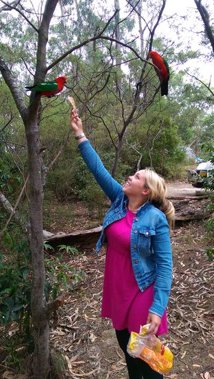Great Ocean Road
So etwas erlebt man hier in freier Wildbahn!
So wunderschöne Vögel!