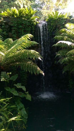 Melbourne City im botanischen Garten
