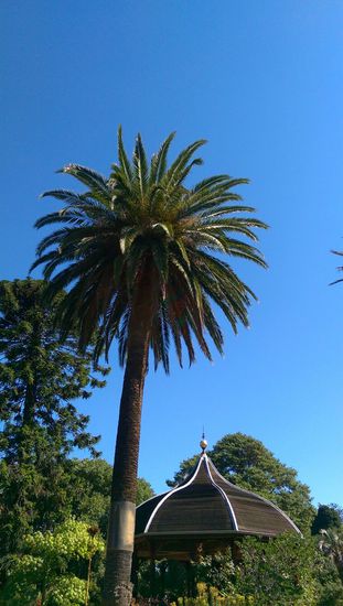 Melbourne City im botanischen Garten