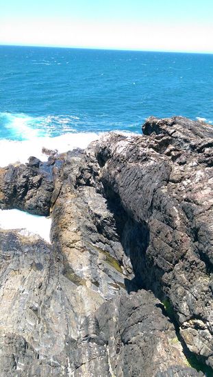 Coffs Harbour - Muttonbird Island Walk