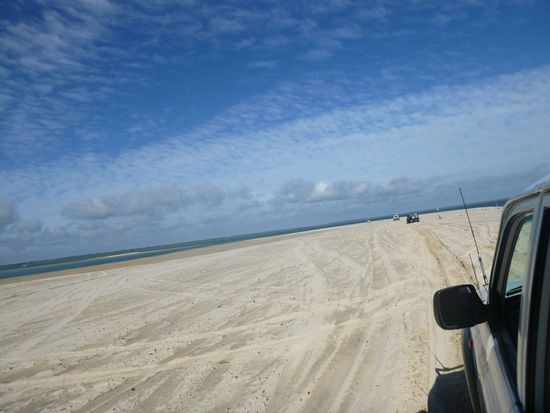 Fraser Island Tour