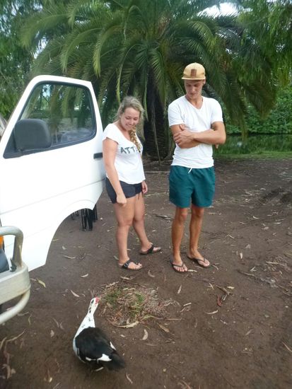 Schlafplatz bei Noosa