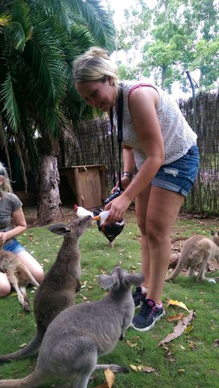Sankctuary Wildlife Park - zum Schluss durften  Dennis und ich die Babykänguruhs mit füttern! Das war toll!