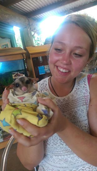 Sankctuary Wildlife Park - Glider