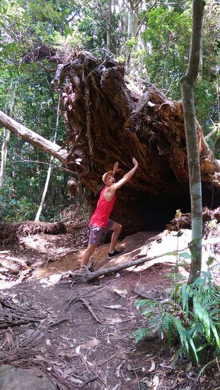 Springbrook Nationalpark