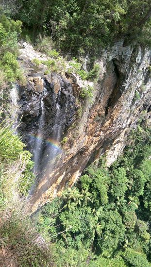 Springbrook Nationalpark - Seht ihr den Regenbogen?