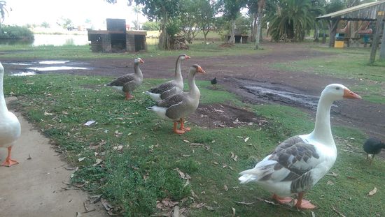 Schlafplatz bei Noosa