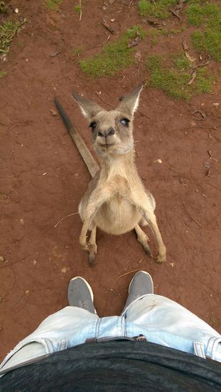 Sankctuary Wildlife Park - Na du! 