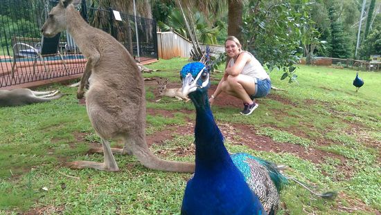 Sankctuary Wildlife Park - bestes Bild! 
