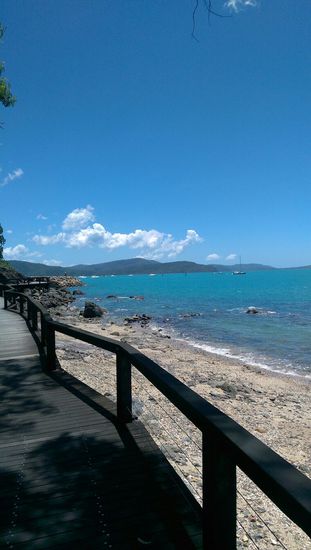 Arlie Beach - Sieht das Wasser nicht zum Reinspringen aus?