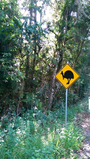 Wallaman Falls - Warnschilder von Kasuaren