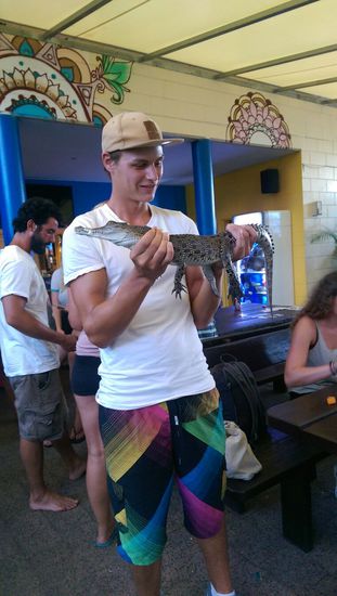 Cairns - NJoy Hostel - Babykrokodil 