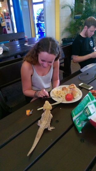 Cairns - NJoy Hostel