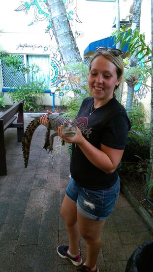 Cairns - NJoy Hostel- Babykrokodil 