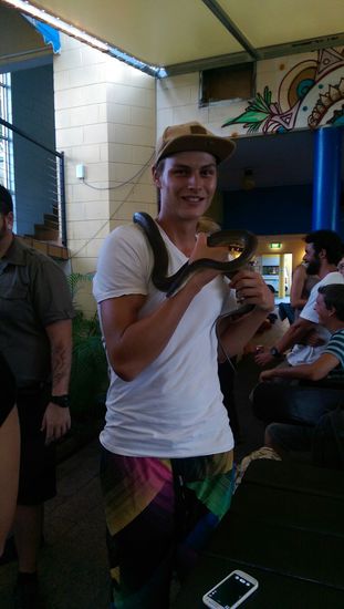 Cairns - NJoy Hostel- Babykrokodil 