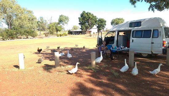 Outback - Tennant Creek - Mary Ann Lake - Frühstück unter Vögeln 