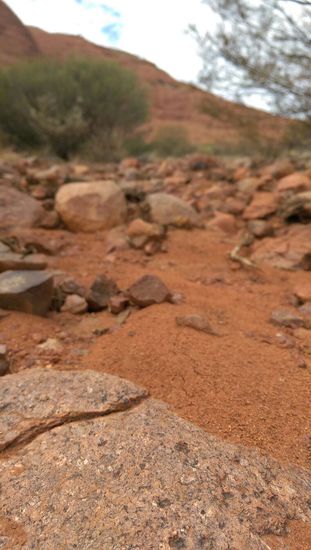 Outback - Uluru- Katatjuta-Nationalpark
