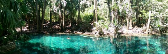 Mataranka - Thermal Pool