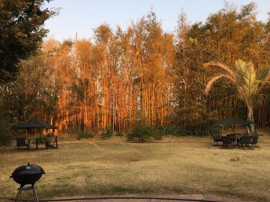 Thorntree Guesthouse