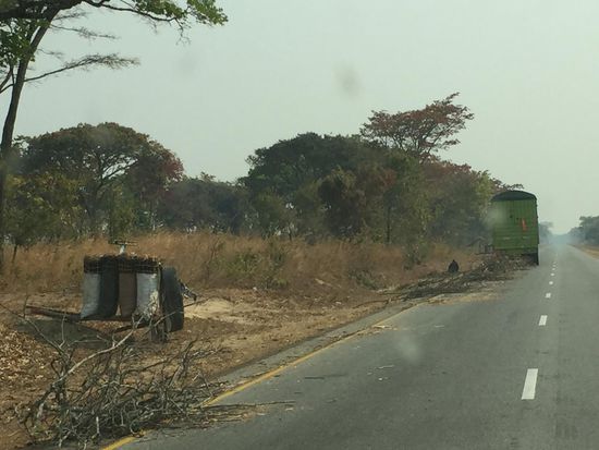 Zweige auf der Straße als Hinweis auf eine Panne
Links:Holzkohleverkauf