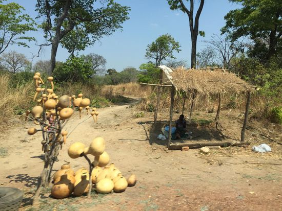 Kalebassen an der Straße nach Ndola