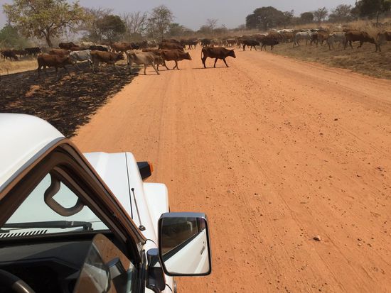 Kalomo-Ndumdumwezi Gate