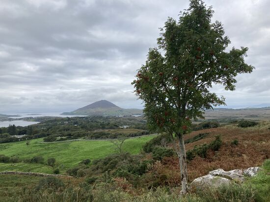 Connemara