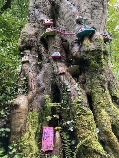 Hier wohnen die Feen?!