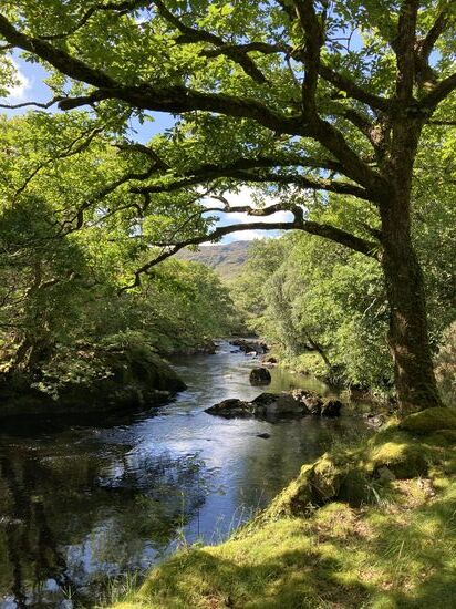 Black Valley