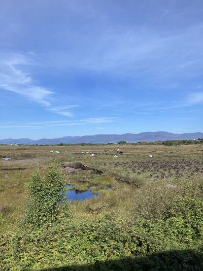 Abbau von Torf. Nur noch für Eigenbedarf erlaubt.