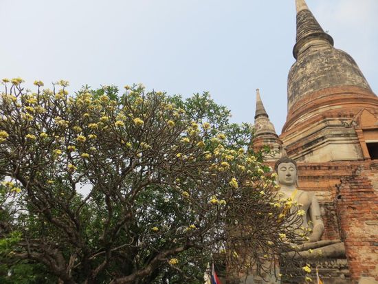 Wat Yai Chai Mongkol