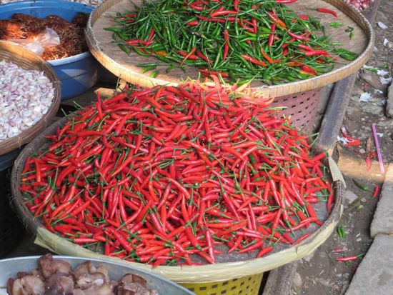 Mae Klong Railway-Market