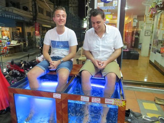 Fish-SPA - eine kitzelige Angelegenheit 