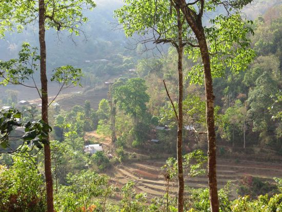 Karen-Dorf im Dschungel