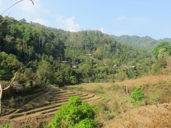 Unterwegs im Dschungel um Mae Hong Son